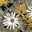 Altered photo of a yellow daisy flower showing yellow and grey petals on marbled blue, purple, black, and beige background.